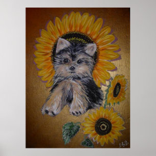 Póster Perro pequeño y simpático girasoles