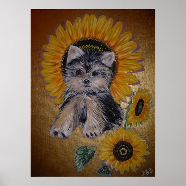 Póster Perro pequeño y simpático girasoles (Frente)