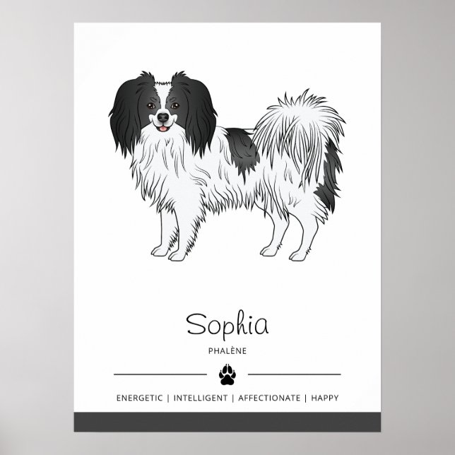 Póster Perro Phalène Blanco Y Negro Con Nombre Propio Del (Frente)