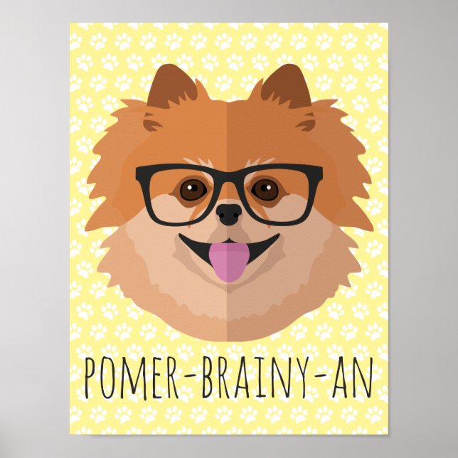 Póster Perro Pomerano En Lentes Nerviosas | POMER-BRAINY- (Frente)