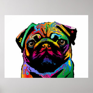 Póster Perro Pug