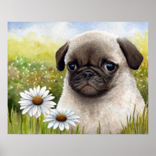 Póster Perro Pug 114 dias