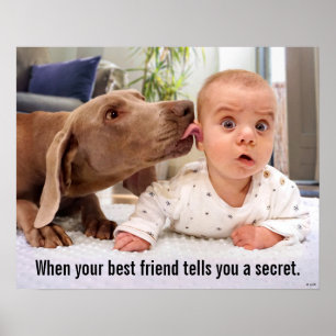 Póster Perro que pega la oreja del bebé