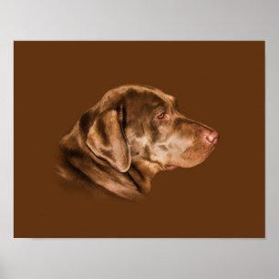 Póster Perro recuperador de labrador, Personalizable