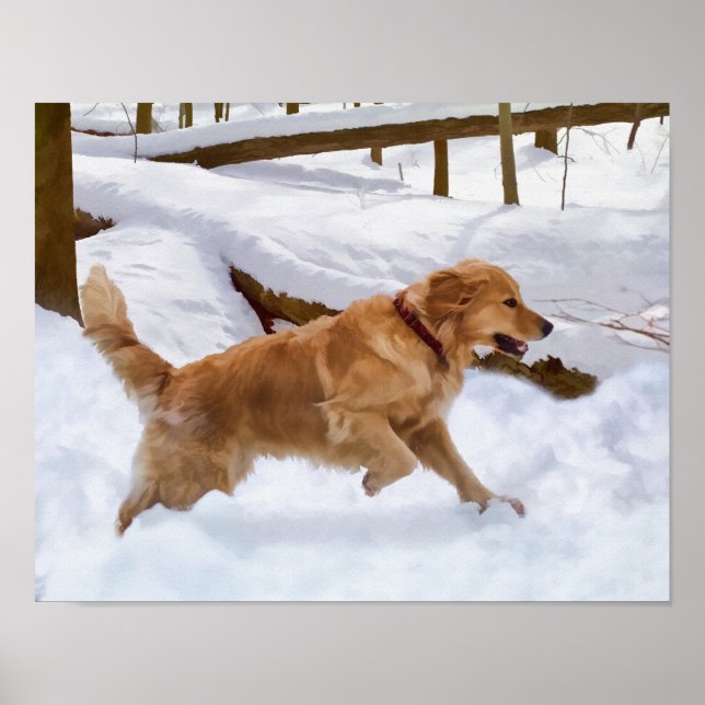 Póster Perro recuperador de oro en la nieve (Frente)