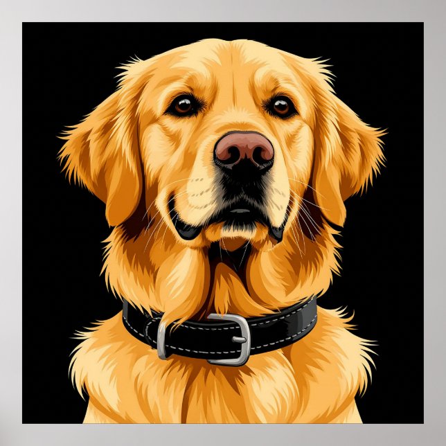 Póster Perro Retriever Dorado con Collar Negro (Frente)