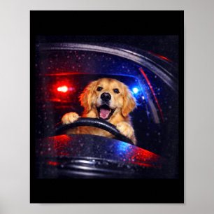 Póster Perro retriever dorado divertido conduciendo meme