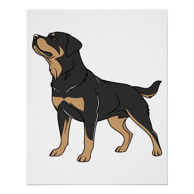 Póster Perro Rottweiler, Perro Rottweiler de pie (Anverso)