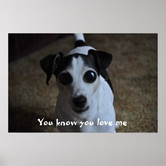 Póster perro, sabes que me amas. (Frente)