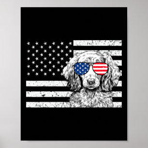 Póster Perro salchicha Dachshund 4 de julio bandera estad