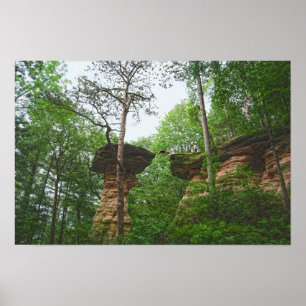 Póster Perro saltando desde Stand Rock en Wisconsin Dells