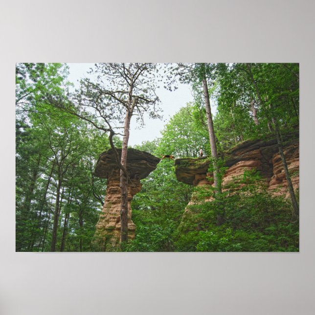 Póster Perro saltando desde Stand Rock en Wisconsin Dells (Frente)