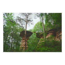 Perro saltando desde Stand Rock en Wisconsin Dells