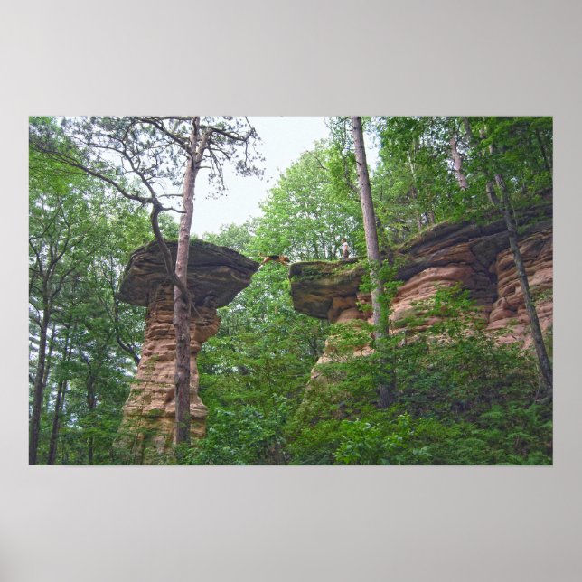 Póster Perro saltando desde Stand Rock en Wisconsin Dells (Frente)