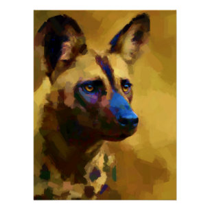 Póster Perro salvaje africano