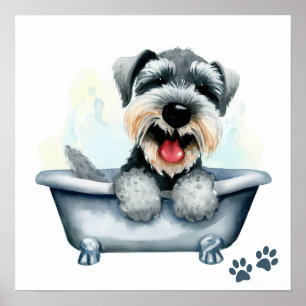 Póster Perro Schnauzer