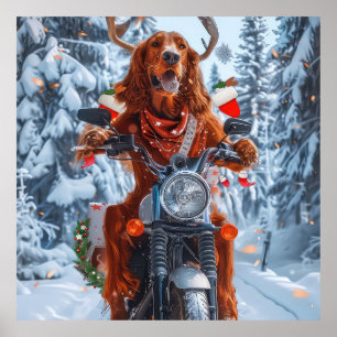 Póster Perro Setter Rojo Irlandés Montando Motocicleta Na