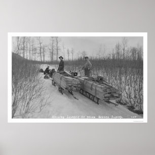 Póster Perro Seward, Alaska 1917 de la madera de
