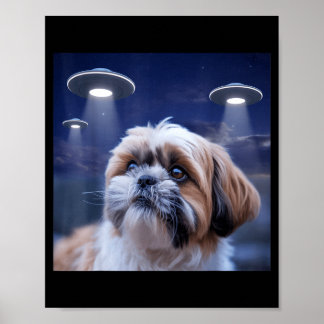 Póster Perro Shih tzu perro shihtzu alienígena ovnis shit