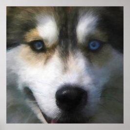 PÓSTER PERRO SIBERIANO HUSKY "LEJOS OJOS"