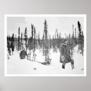 Póster Perro Sled Hombres Fairbanks 1920