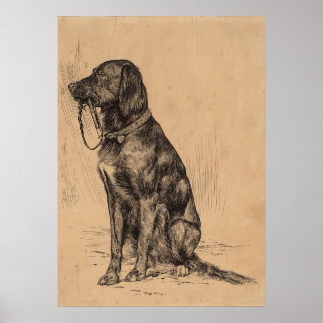 Póster Perro solitario sosteniendo su propia correa, tint (Frente)
