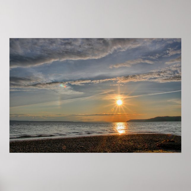 Póster Perro Sun (Frente)