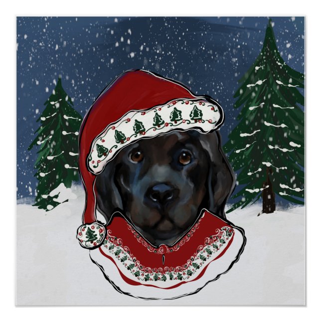 Póster Perro Terranova   (Anverso)