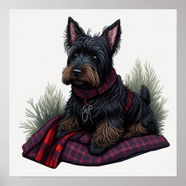 Póster Perro Terrier de Escocia (Frente)
