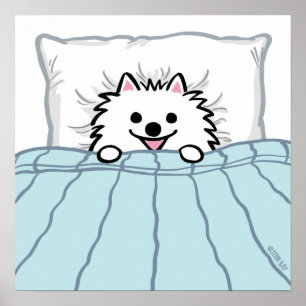 Póster Perro tierno de Pomerania blanco en la cama