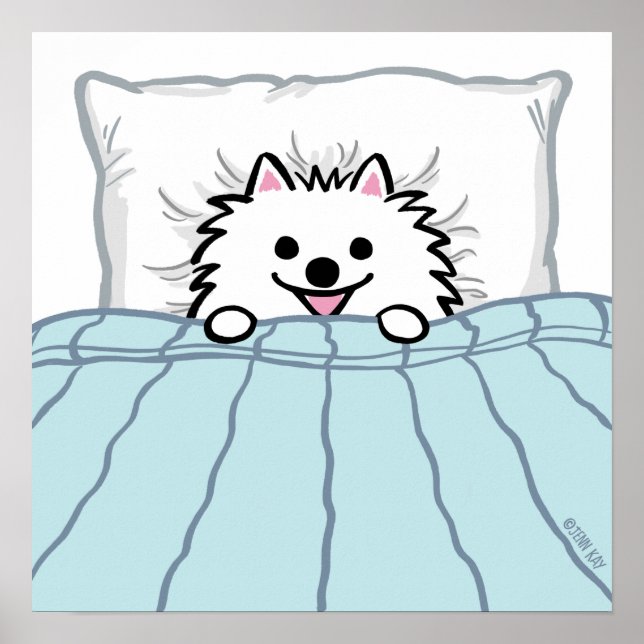 Póster Perro tierno de Pomerania blanco en la cama (Frente)