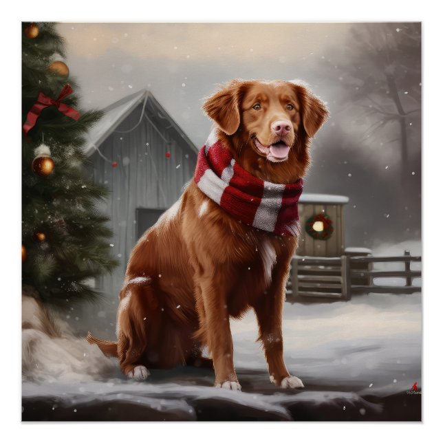 Póster Perro Tolling Retriever de Nueva Escocia en Navida (Anverso)