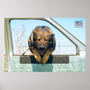 PÓSTER PERRO TRABAJADOR MILITAR DE EE.UU.