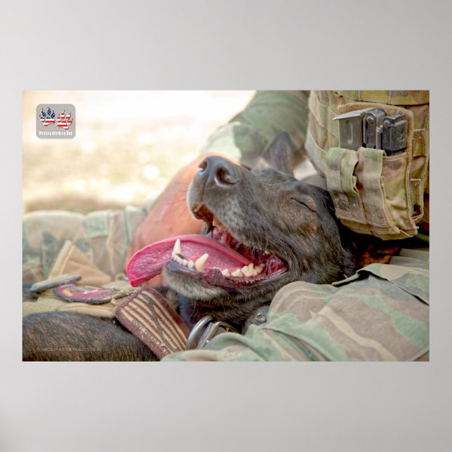 PÓSTER PERRO TRABAJADOR MILITAR DE EE.UU. (Frente)