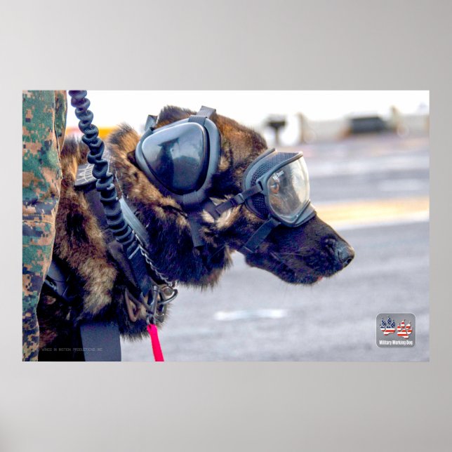 PÓSTER PERRO TRABAJADOR MILITAR DE EE.UU. (Frente)