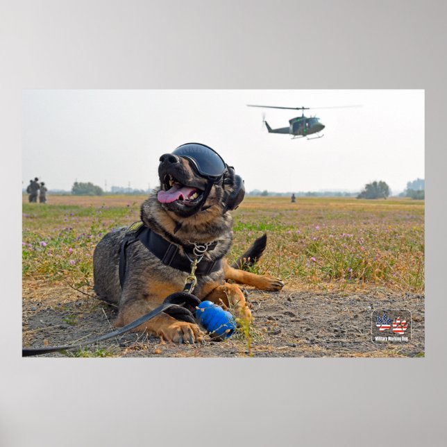 PÓSTER PERRO TRABAJADOR MILITAR DE EE.UU. (Frente)