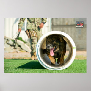 PÓSTER PERRO TRABAJADOR MILITAR DE EE.UU.