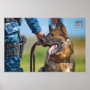PÓSTER PERRO TRABAJADOR MILITAR DE EE.UU.