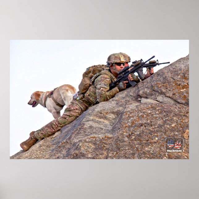 PÓSTER PERRO TRABAJADOR MILITAR DE EE.UU. (Frente)