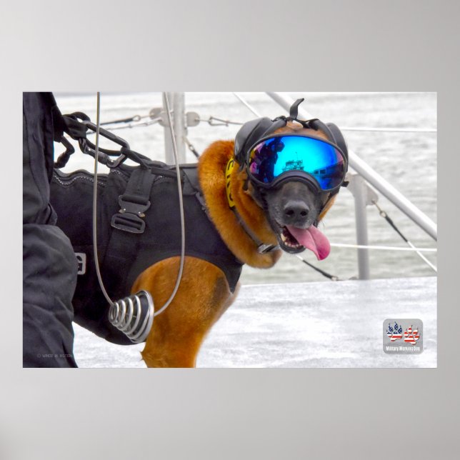 PÓSTER PERRO TRABAJADOR MILITAR DE EE.UU. (Frente)