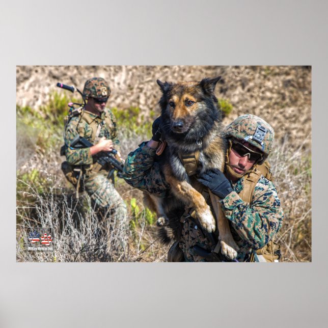 PÓSTER PERRO TRABAJADOR MILITAR DE EE.UU. (Frente)
