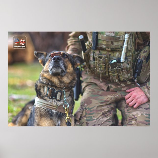 PÓSTER PERRO TRABAJADOR MILITAR DE EE.UU. (Frente)