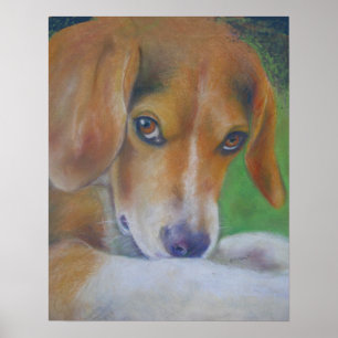 Póster Perro vivaracho: Ojos