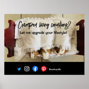 Póster perro viviente de posta inmobiliario divertido