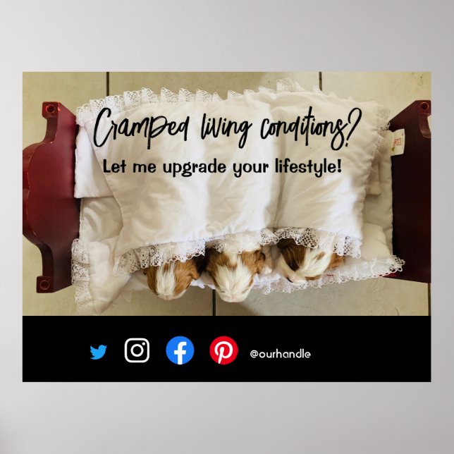 Póster perro viviente de posta inmobiliario divertido (Frente)