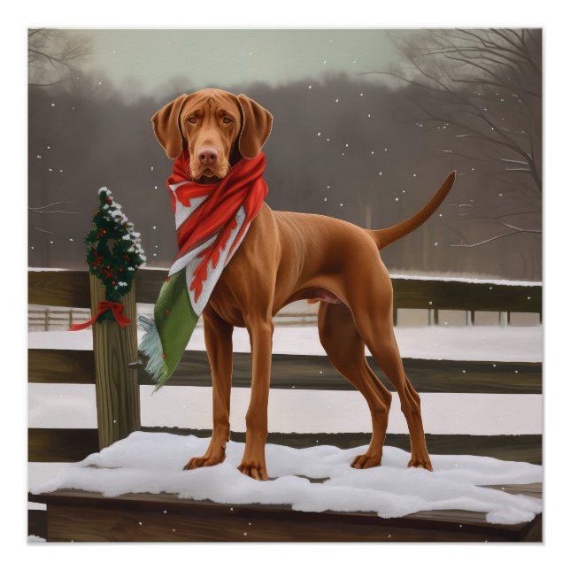 Póster Perro Vizsla en Navidades de nieve (Anverso)