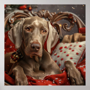 Póster Perro Weimaraner Navidad Festiva