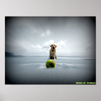 Póster Perro y bola