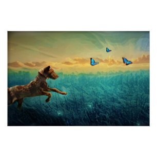 Póster Perro Y Mariposa