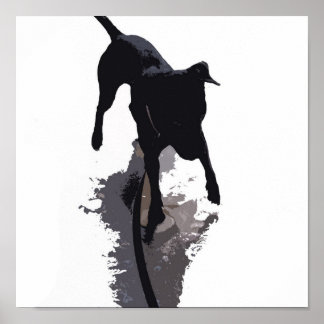 Póster perro y sombra poserizados